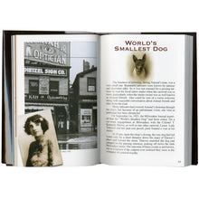 Load image into Gallery viewer, These Old Blue Arms - The Life and Work of Amund Dietzel Book Vol