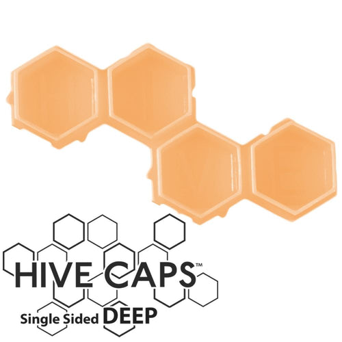 Hive Cap Deep Well - Pasty Bee Deep 1